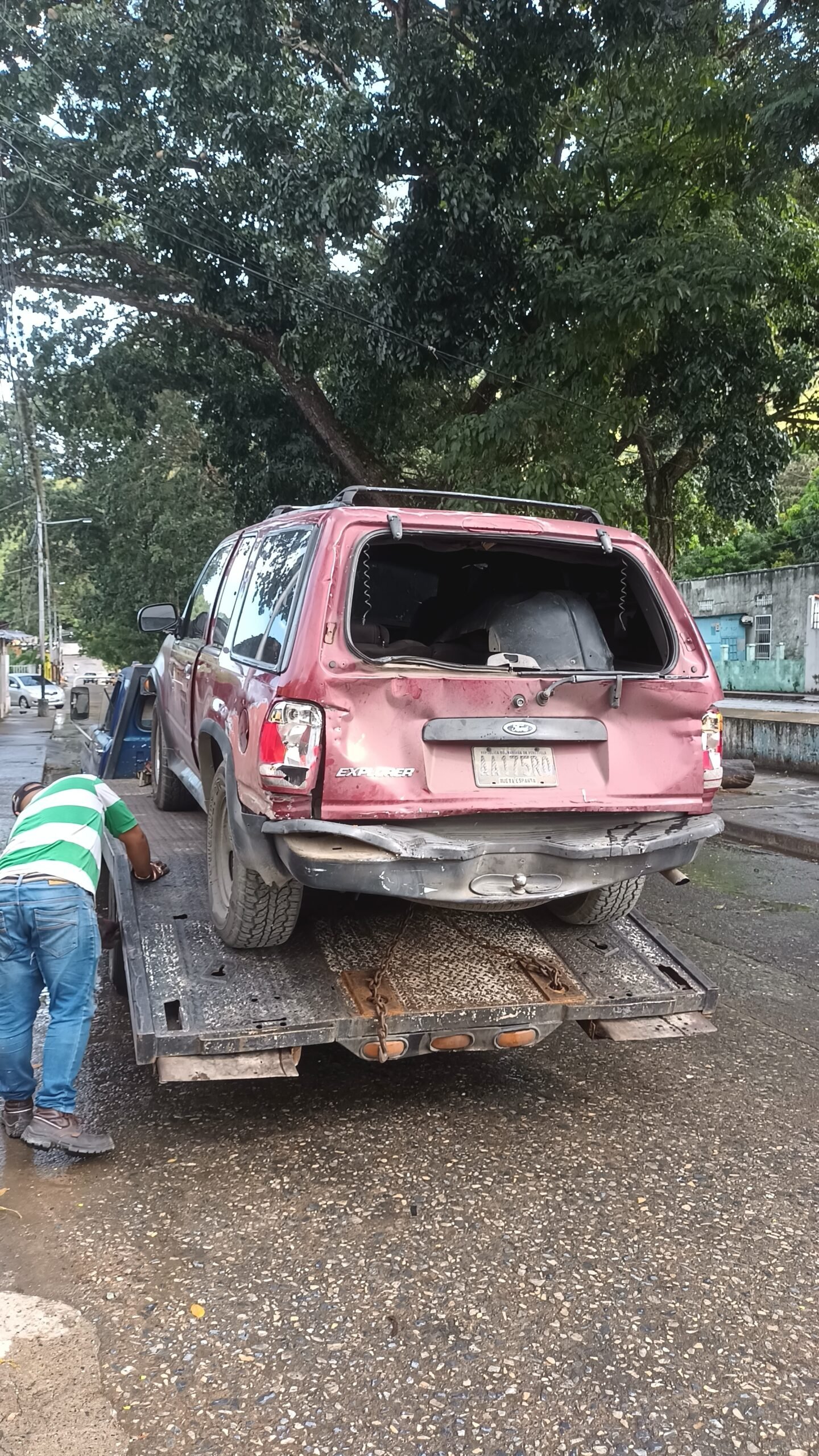 IMG_20241113_151522679