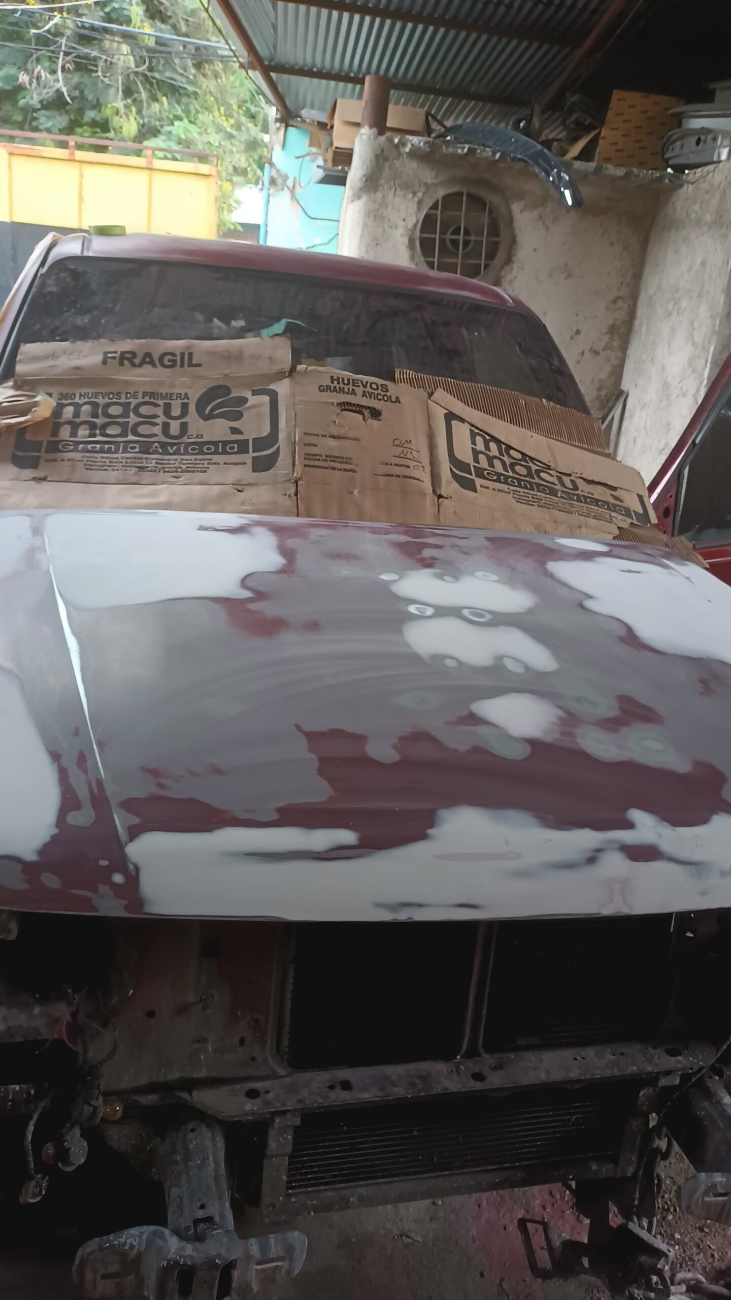 IMG_20241204_172442841