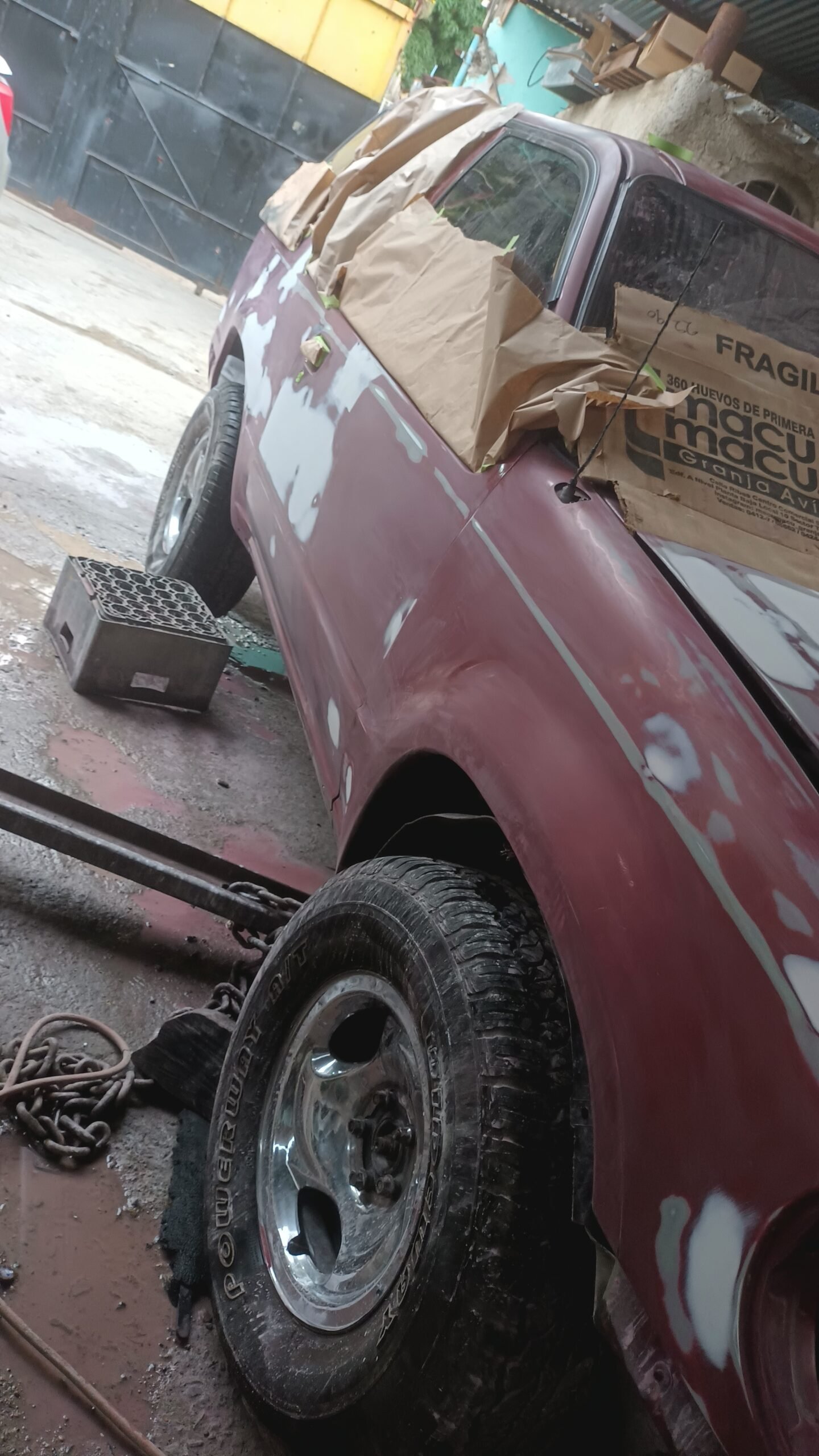 IMG_20241204_172446079